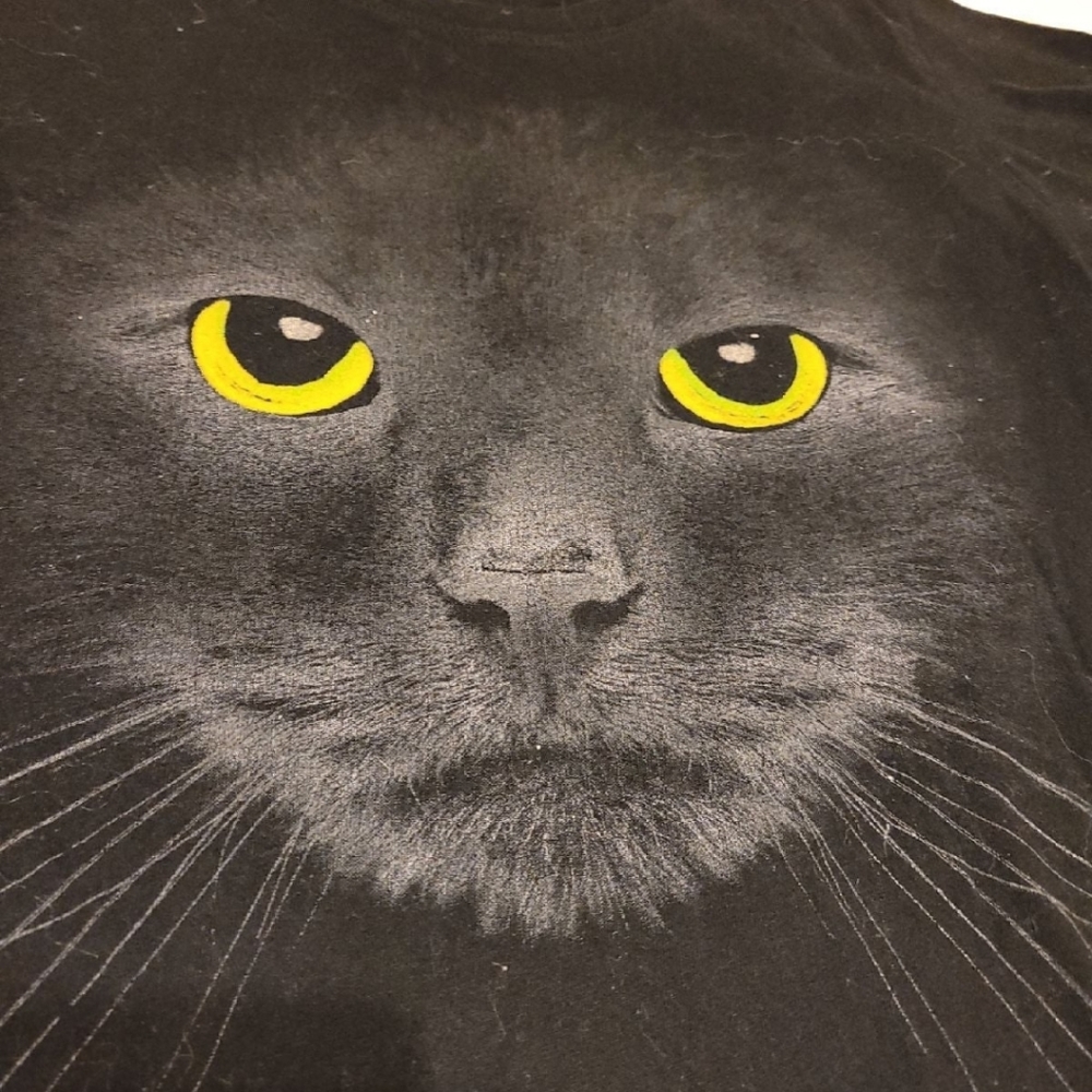 Cat top
